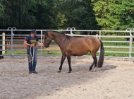 08b2aff3 732b 469d b429 2749bb55dfce 2