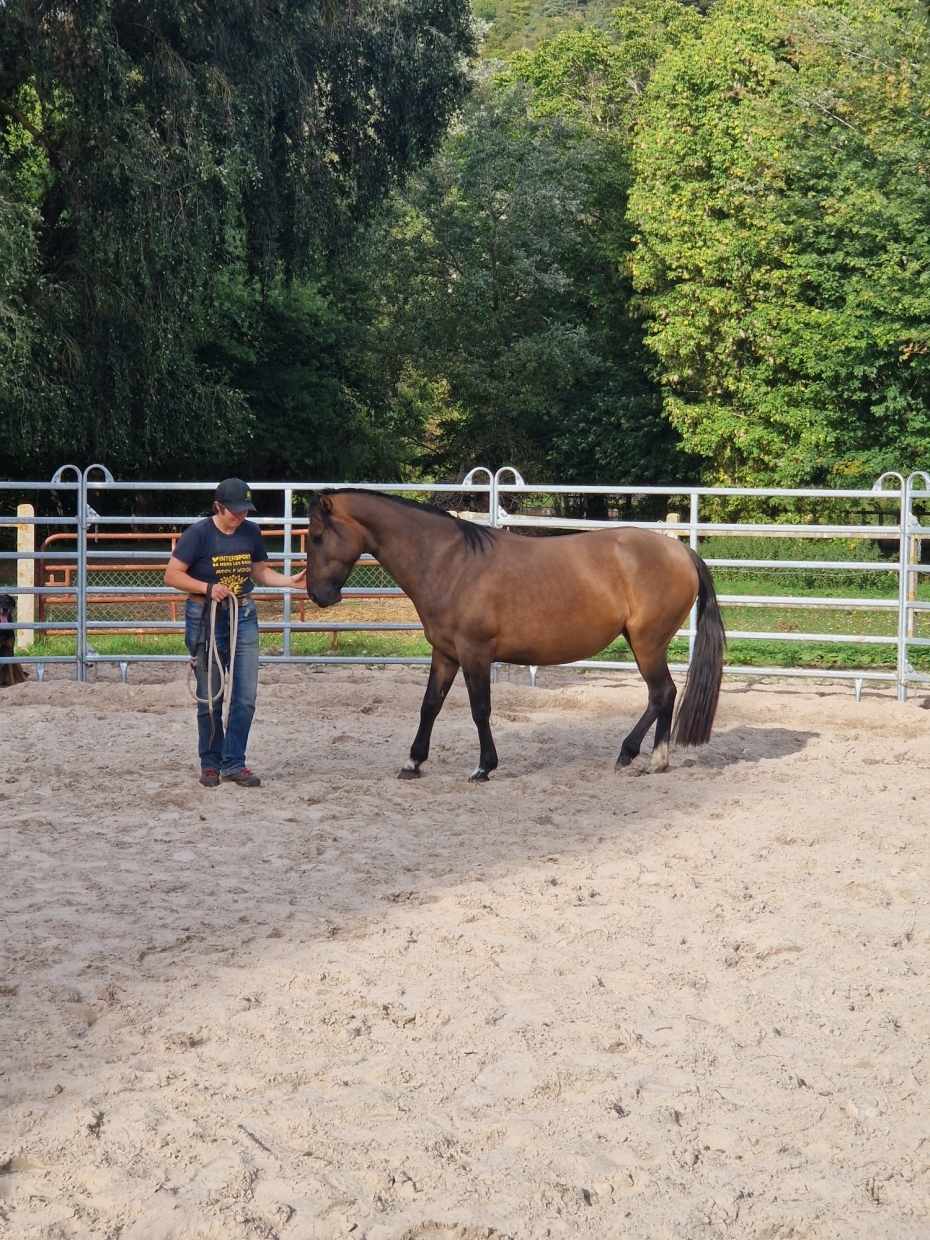 08b2aff3 732b 469d b429 2749bb55dfce 2