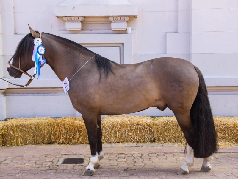 8f8c654c 0d51 476c 889b aedf9a32bb14