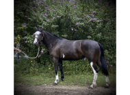 att.GzdEs TI3PDscfM9gcdn dNMNy i5BW5TbnnND8v5CI