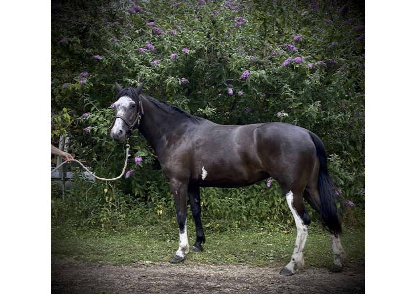 att.GzdEs TI3PDscfM9gcdn dNMNy i5BW5TbnnND8v5CI