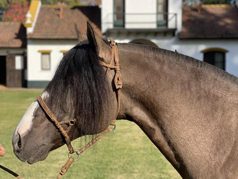 bacf7dfe e723 4f0b b894 2b11b28e4055