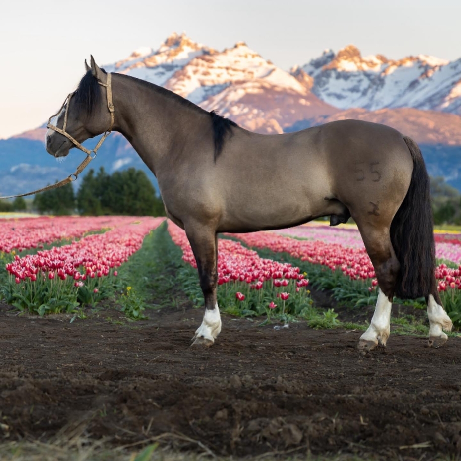 e6d143aa 9b98 477c ae8d 9c13b7fc250c