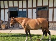 6135f645 28d5 40f0 a7fc 0498bcc832ad