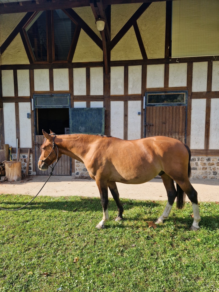 6135f645 28d5 40f0 a7fc 0498bcc832ad