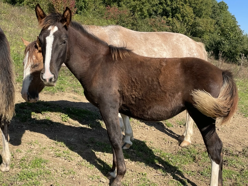 DE LAS ROCAS OJANITA 01