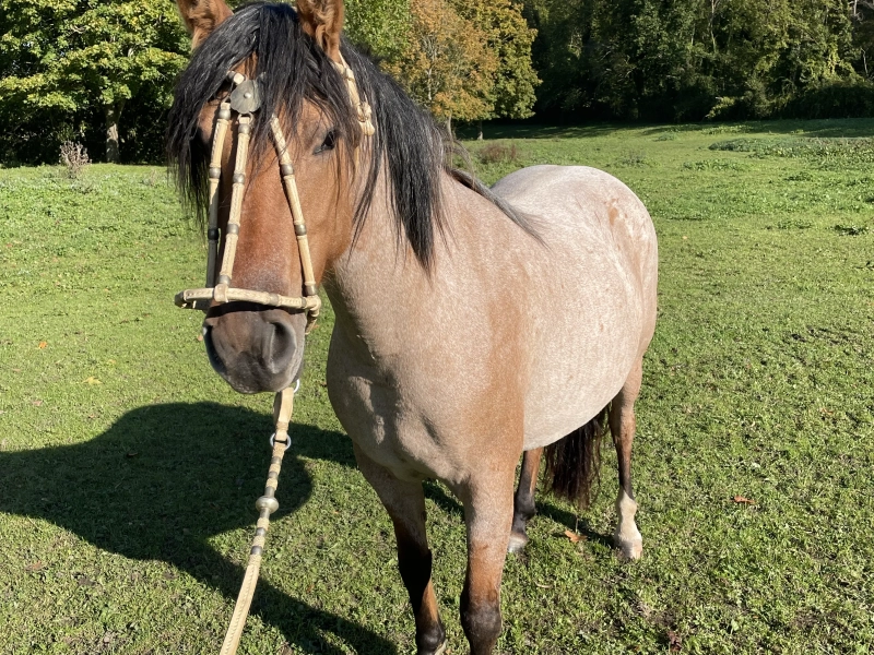 De Baviera Nelida 02