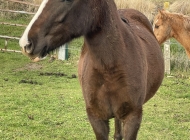 IMG 9081 e1765904392258