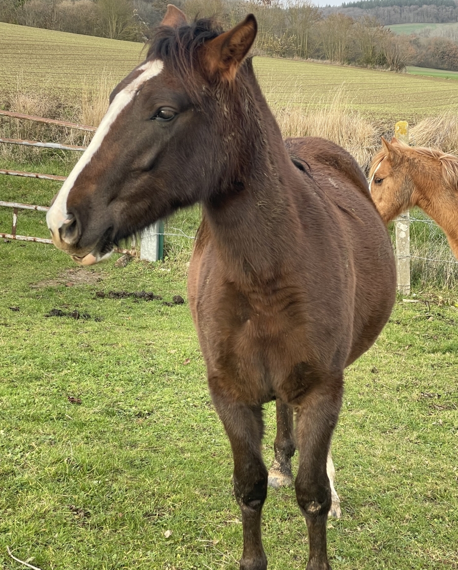 IMG 9081 e1765904392258