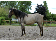 att.NBqtT0y0vDJzNMcc2strCgjM7qRP7k9Jrp9I4gguzyw