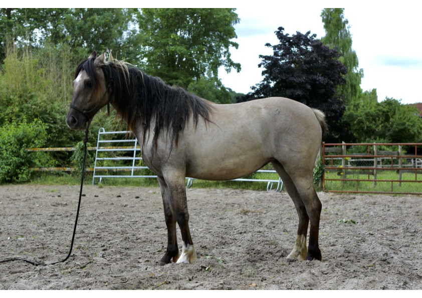 att.NBqtT0y0vDJzNMcc2strCgjM7qRP7k9Jrp9I4gguzyw