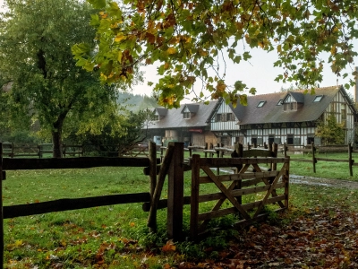 criollos de las rocas 07