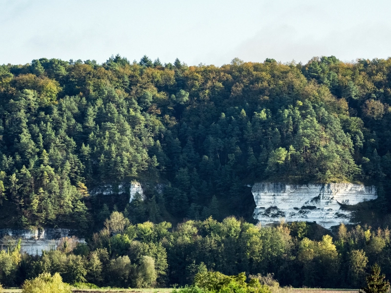 criollos de las rocas 10