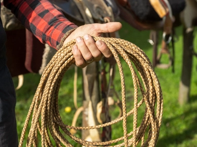 criollos de las rocas 13