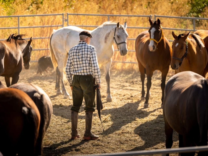 Attrapper ... Attrapper