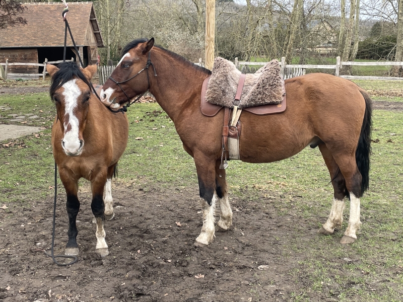 Nuno & Malambo Nuno Malambo